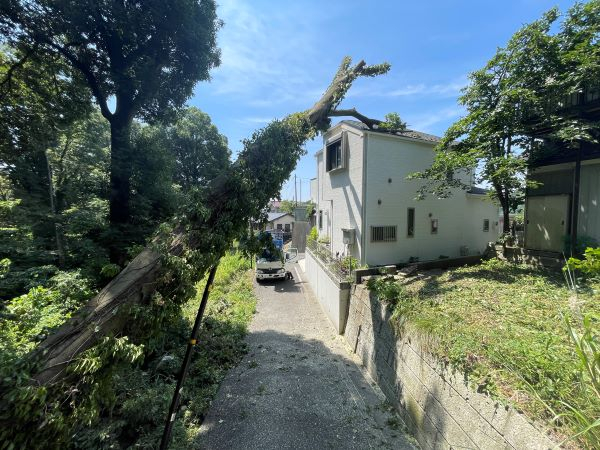 【施工事例】家にもたれかかった大木の特殊伐採