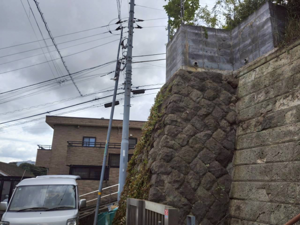 【施工事例】崖に生えた大木の特殊伐採