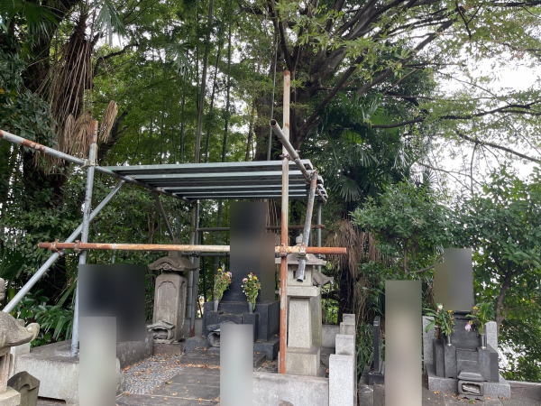 寺院墓地の敷地境界に立つケヤキの高木剪定